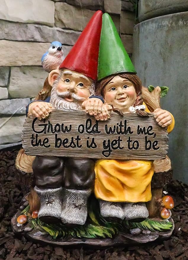 Ebros Grow Old with Me Mr and Mrs Gnome Statue 11" Tall for Patio Garden Lawn Home Decor Figurine (1)