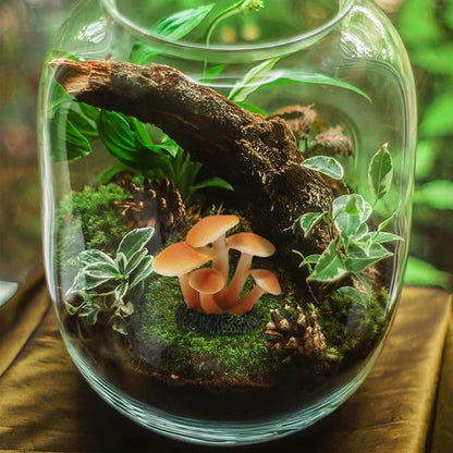 Mini Resin Mushroom Figurines, 6 Pieces Lawn Fairy Wild Garden Resin Bonsai Craft Decoration for Home DIY Micro Fairy Garden Landscape