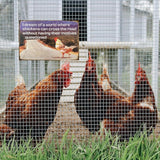 Chicken-Sign Metal-Sign Wall-Art Décor-Yard, Chickens Cross the Road, Farm Plaque Garden Sign Outdoor Coop Décor for Home Fence 8 X 12 Inches