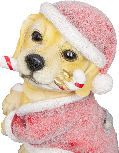 Alpine Corporation 11" Tall Indoor/Outdoor Christmas Golden Labrador Puppy Statue with Santa Hat and Candy Cane, Holiday Decoration for Porch, Tabletop, or Entryway