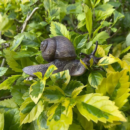 Snail Figurine Toy Mini Animal Figures for Fairy Garden, Mushrooms, Micro Landscape Decor (Dark Color)