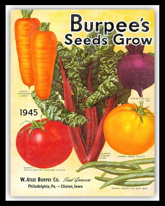 Tin Sign For Plant Vegetable Seed Catalogue Cover Garden Greenhouse Allotment Sign 8x12 in Wall Decor