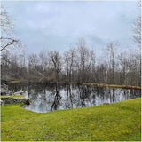 Natural Waterscapes Pond Dye - Reflective Black Super Concentrate - 1 Quart Treats 1 Acre up to 6 Feet Deep, Black Pond Dye Creates a Dark Mirrored Reflection of Surroundings (1)