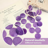 2 Pack Capiz Wind Chimes for Outside, Outdoor Seashell Hanging Beach Coast Ocean Home Decorative, Unique Natural Shell Waterfall Windchimes for Summer Patio, Great Memorial Sympathy Gift（Purple