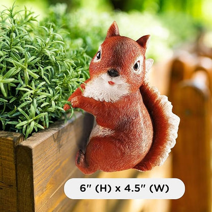 Wrenbury Outdoor Red Squirrel Ornament for Yard and Garden – Sammy The Squirrel Statue for Garden - Decoration Figurine with Lifelike Detail – 6” Weatherproof