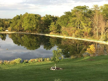 Pond Champs Black Lake & Pond Dye – One Gallon of Deep Black Pond Colorant – Treats 1 Acre - Safe for Fish, Wildlife, Pets & Children