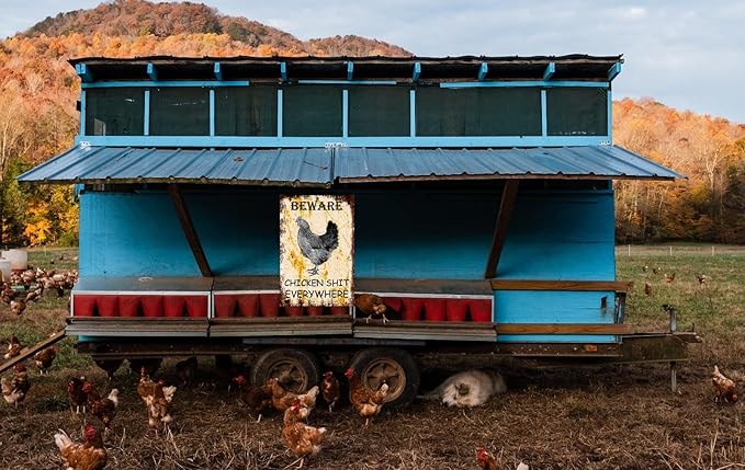 Funny Metal Chicken Coop Sign - Beware Chicken Shit Everywhere - Yard, Garage, Farm, Garden Wall Decor Plaque for Home Fence - Outdoor Tin Sign 8 X 12 Inches