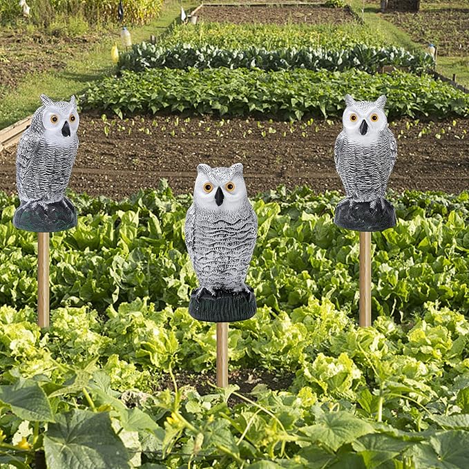 KKY 2 Packs Fake Plastic Owl Bird, Garden owl Statue,Can Repel Pigeons Away from The House, Garden, Pool. (3pc Black)