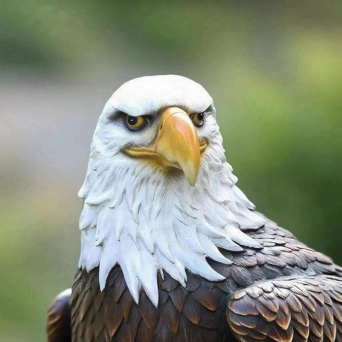 H:24.4 inch Bald Eagle Statue Outdoor, Large Realistic Eagle Sculpture for Garden Decor, Hand-Painted Resin Lawn Eagle Statue, Majestic Yard Art and Patio Decoration