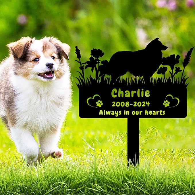 Custom Shetland Sheepdog Dog Memorial Grave Marker,Personalized Pet Dog Memorial Garden Stake,Flora Dog Memorial Plaque Burial Stake Engraved Sign,Dog Sympathy Grave Stake,Dog Statue Headstone