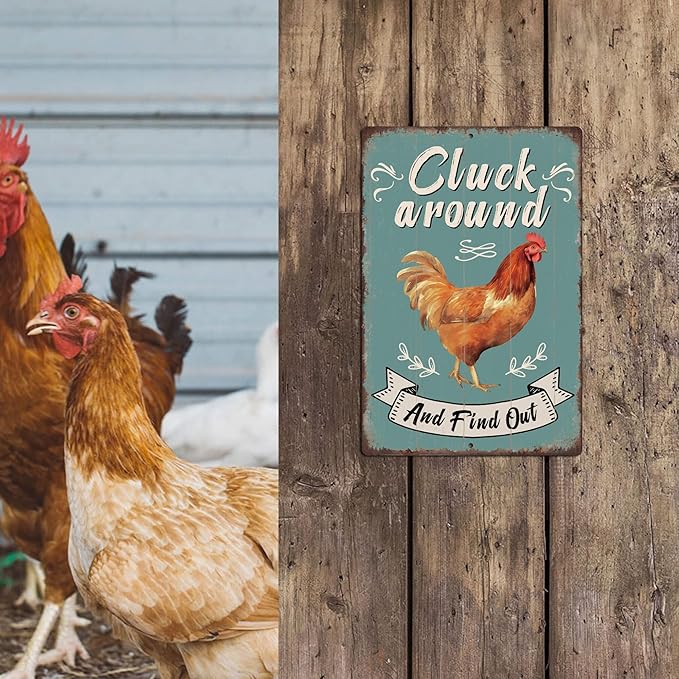 Putuo Decor Funny Chicken Cluck Around And Find Out Tin Sign Funny Chicken Sign Farm Chicken Coop For Kicthen Garden Decor Vintage Metal Tin Sign Wall Plaque For Yard Outdoor Decor 12x8 Inch