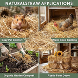 MAQIHAN Barley Straw for Ponds – Pond Media for Outdoor Fish Pond & Koi Pond, Natural Pond Filtration Accessory, Supports Water Balance for Garden Ponds & Water Features, 10 Mesh Filter Bags Included