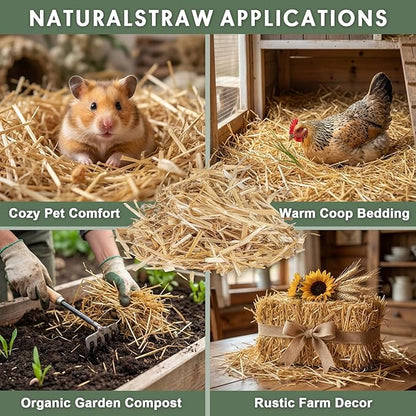 MAQIHAN Barley Straw for Ponds – Pond Media for Outdoor Fish Pond & Koi Pond, Natural Pond Filtration Accessory, Supports Water Balance for Garden Ponds & Water Features, 10 Mesh Filter Bags Included