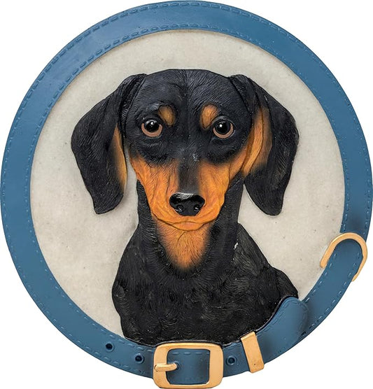 Spoontiques - Garden Décor - Dachshund Stepping Stone - Decorative Stone for Garden