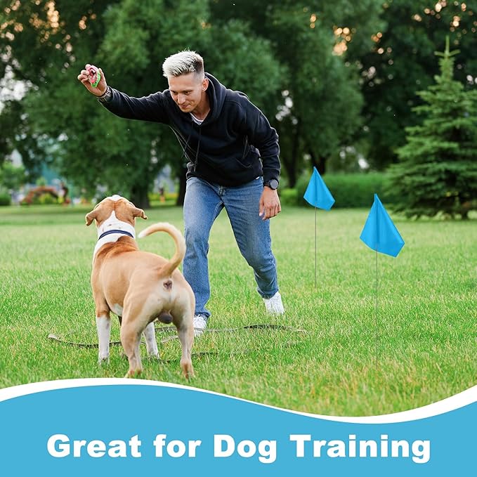 M METERXITY 10-Pack Blank Marking Flags, 15x5.1x4 Inch Waterproof Yard Flags Marking for Lawn/Garden/Irrigation/Landscape/Sprinkler/Survey/Dog Training/DIY [Blue]