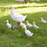 Real Farm Duck Statues,Duck Fence Decoration,Funny Resin Duck Decor,Outdoor Real Animal Statue,Duck Sculpture,Perfect for Home Garden Stairs,Farm,Patio,Backyard