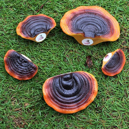 5 Pcs Garden Mushroom Statue Tree Hugger, Resin Realistic Glossy Ganoderma Figurines Tree Sculpture Whimsical Fairy Garden Decor, Outdoor Patio Yard Lawn Ornaments