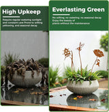 Rustic Metal Decorative Garden Stakes, Multiple Nature-Inspired Designs, Vintage Rust Finish Indoor&Outdoor Garden Decor, Gift-Boxed Yard Art for Pots, Planters Flower Beds (Ladybug & Bee Flower Set)