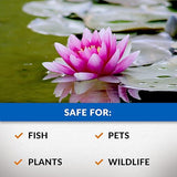 CrystalClear Algae D-Solv Pond Algae Control, Fast-Acting EPA Registered Algaecide, Use in Fountains & Outdoor Ponds Containing Koi & Other Fish, Treats 46,080 Gallons, 1 Gallon