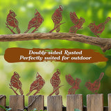 Rusty Birds Decoration, Outdoor Bird Wall Decor, Metal Bird Yard Decor, Garden Sculptures, Yard Art, Fence Decorations, Rustic Garden Decor, Metal Birds Craft Statue Ornaments