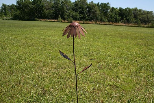 Metal Rustic and Colorful Flower Stakes Ranging from 9.5 to 36 Inches Tall (Coneflower Stake 30" Tall, Naturally Rusted)
