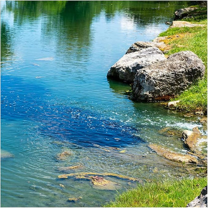 Natural Waterscapes Pond Dye - Vivid Blue Super Concentrate - 1 Quart Treats 1 Acre up to 6 Feet Deep, True Blue Pond Dye, Creates Vibrant Blue Color in Pond Water