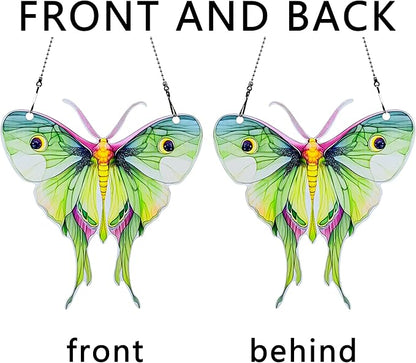 Moth Ornaments Colorful Window Hanging Decorations Home Wall Decor for Indoor Outdoor