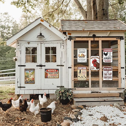 Chicken Coop Signs Warning Do Not Make The Chickens Angry Tin Sign Funny Outdoor Metal Sign 8x12 Inch