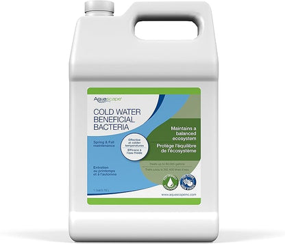 Aquascape Cold Water Beneficial Bacteria for Ponds, 1 Gal / 3.78 L – Maintains Clean and Clear Water in Cooler Temperatures – Safe for Koi, Fish, and Plants, 96021