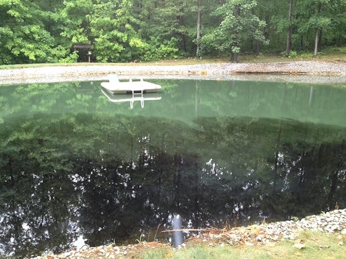 Pond Champs Black Lake & Pond Dye – One Gallon of Deep Black Pond Colorant – Treats 1 Acre - Safe for Fish, Wildlife, Pets & Children