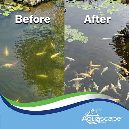 Aquascape EcoBlast Contact Granular Algaecide for Ponds, Waterfalls, Fountains, Streams, and Rocks, 38.4 oz / 1.1 kg, 29312