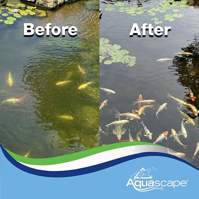 Aquascape EcoBlast Contact Granular Algaecide for Ponds, Waterfalls, Fountains, Streams, and Rocks, 8.8 oz / 250 g, 29311