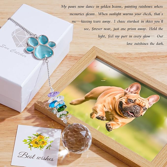Dog Memorial Gifts for Loss of Dog, Pet Memorial Suncatcher, Pet Sympathy Gifts, Paw Print Suncatcher with Card & Gift Box, Remembrance Bereavement Gift for Loss of Dogs Cats