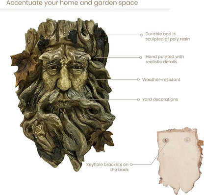 Bits and Pieces - 'Old Man' Tree Hanging Planter - Yard Decorations - Whimsical Tree Sculpture - Indoor/Outdoor Decoration - Garden Peeker Yard Art