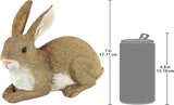 Design Toscano QM200861 Bashful The Bunny Lying Down Rabbit Outdoor Garden Statue, 10 Inch, full color