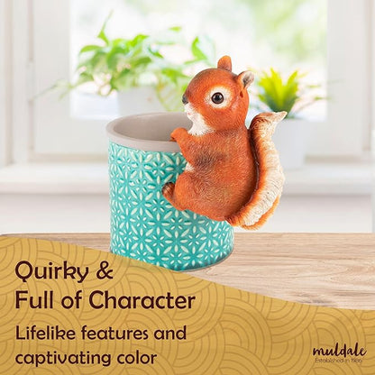 Wrenbury Outdoor Red Squirrel Ornament for Yard and Garden – Sammy The Squirrel Statue for Garden - Decoration Figurine with Lifelike Detail – 6” Weatherproof