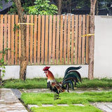 Fenteer Metal Decor Farm Animal Figurine Outdoor Garden Statue Landscape Chicken Sculpture Iron Crafts for Home, Orange