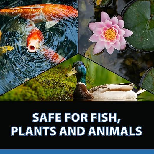 CrystalClear Barley Extract Pond Treatment – Natural Water Clarifier for Fountains, Water Gardens & Koi Ponds, Clears Cloudiness, Fish & Plant Safe, 1 Gallon