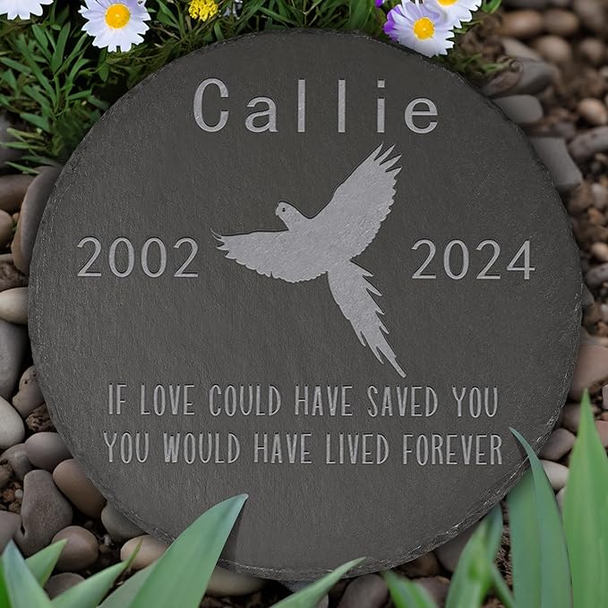 Parrot Memorial Stone Parrot Garden Statue - Parrot Memorial Gifts - Parrot Tombstone - Parrot Loss Gift - Loss of Pet Parrot - Round