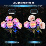 6 Pack Solar Garden Lights Outdoor, LED Colorful Waterproof Solar Powered Hydrangea Flowers Landscape Lights for Patio, Outside Yard, Pathway Decorative, Décor, Two Lighting Modes