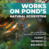 Natural Pond Care Ball – Easy Drop-in Maintenance for Outdoor Ponds and Water Features, Suitable for Fish & Plants, Up to 2500 Gallons – 4 Week Use