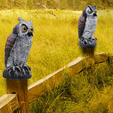 Hausse 2 Pack Fake Horned Owl Bird Scarecrow Decoy 10.5 Inch Height, Plastic Deterrents, Halloween Decoration, Nature Enemy Pest Repellent for Outdoor Garden Yard