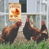 Chicken-Sign Metal-Sign Wall-Art Décor-Yard, Farm Fresh Eggs, Farm Plaque Garden Sign Outdoor Coop Décor for Home Fence 8 X 12 Inches