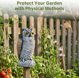 OFFO 2 Pack Fake Owl, Owl Statue for Garden and Yard Decoration, Weatherproof Plastic Outdoor Owl Decor for Porch Pool Patio Yard, 8 in Height, Round + Long Ear Owl