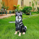 Northern Husky Porch Accent Featuring Solar Lantern & Double-Sided Sign, Sitting Black Husky Garden Statue for Entry Steps & Lawn Edge