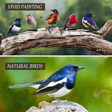 HUYIENO 5PCS Vivid Metal Birds Fence Decor 2D Color Painted Outdoor Garden Natural Bird Sculptures for Outdoor Fences, Patio, Garden and Bird Lovers