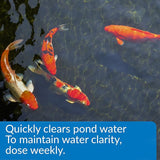 API POND ACCU-CLEAR Pond Water Clarifier 16-Ounce Bottle