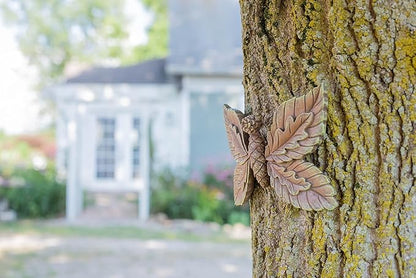 NAT & Jules Pinecone Butterfly Brown 3 inch Resin Stone Outdoor Tree Face Statue