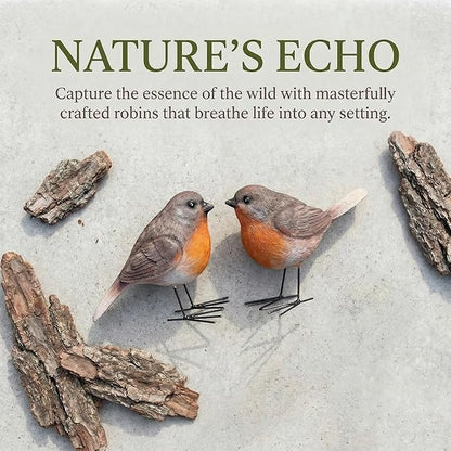 2Pcs Realistic Robin Figurines Ornaments Resin Bird Statues with Sturdy Metal Feet Small Animal Sculpture Decoration for Garden Patio, Outdoor Shelf, Miniature Scene & Yard Art, Gift for Nature Lovers