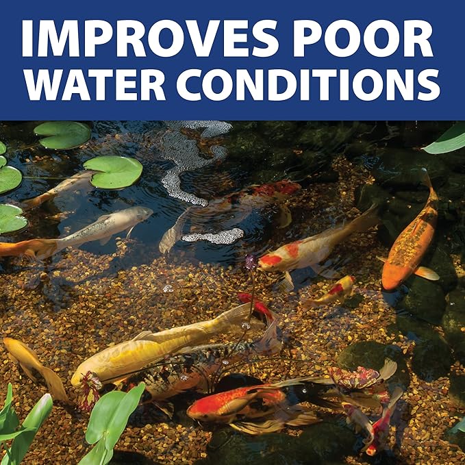 The Pond Guy InstaFix Algae Control, Outdoor Water Garden, Fountain & Birdbath Algae Solution, EPA Registered Liquid Algaecide, Control Green Water & String Algae, Bird, Fish & Pet Safe, 1 Gallon